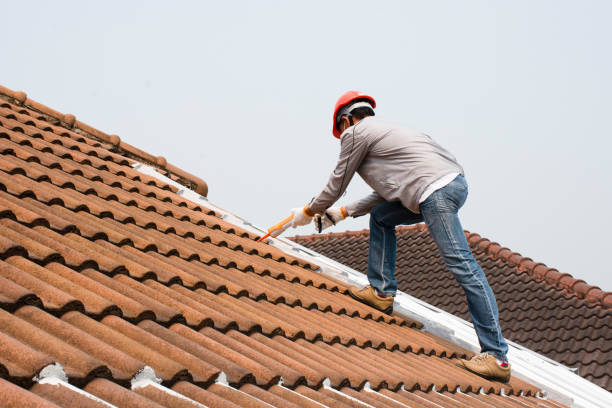 Best Solar Panel Roofing Installation  in Harrison, MI
