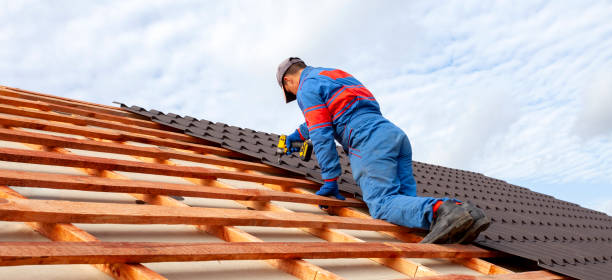 Best Roof Moss and Algae Removal  in Harrison, MI