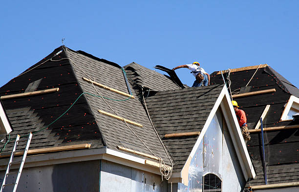 Best Roof Coating and Sealing  in Harrison, MI